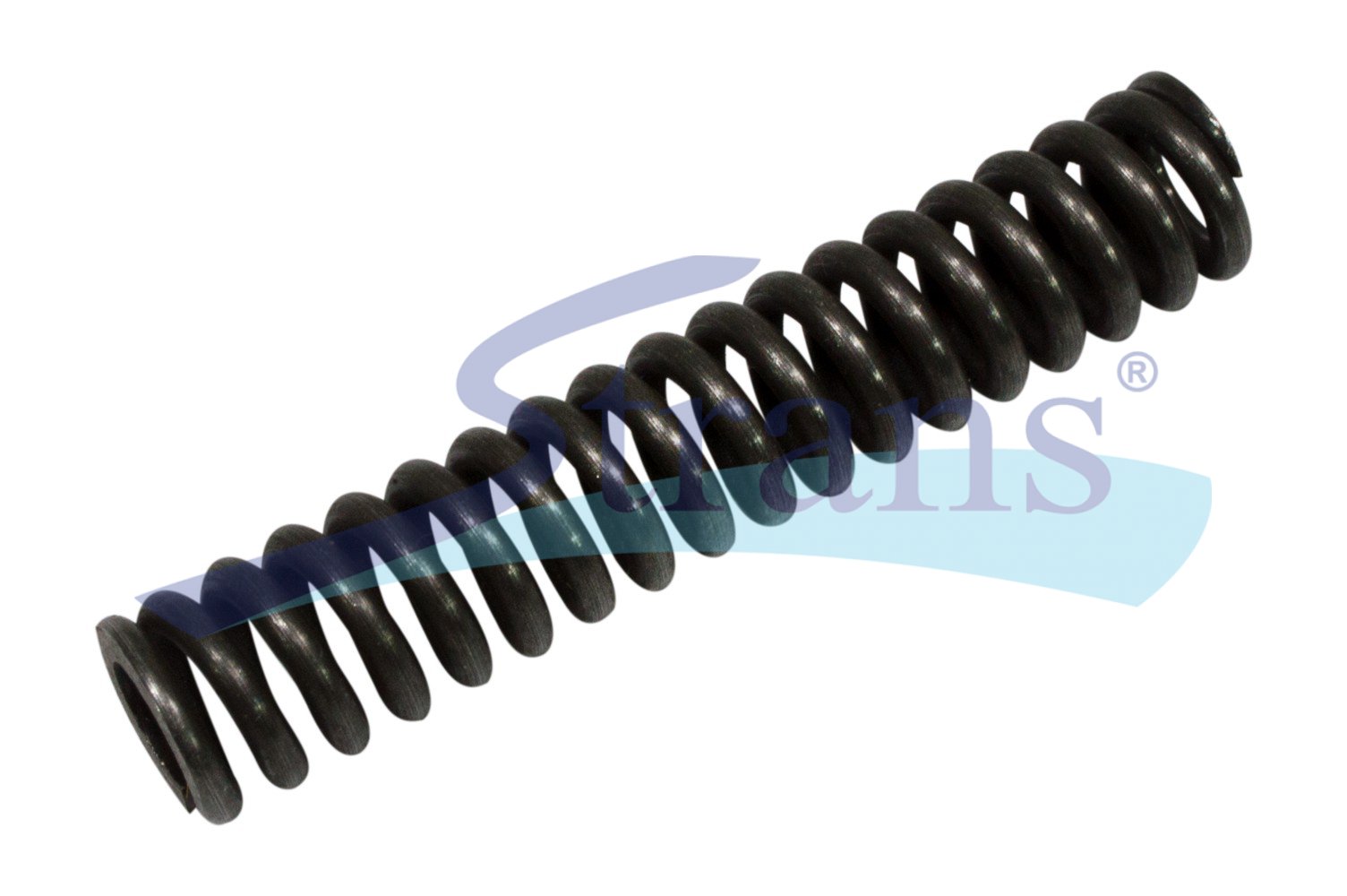 ホンジュラス産　ストラーセンキンイロコガネ　25mm Blocking Spring 12As-0732042766 buy in Ukraine | Strans-shop